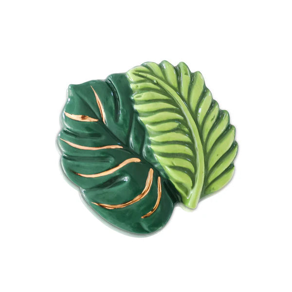 Best ferns forever