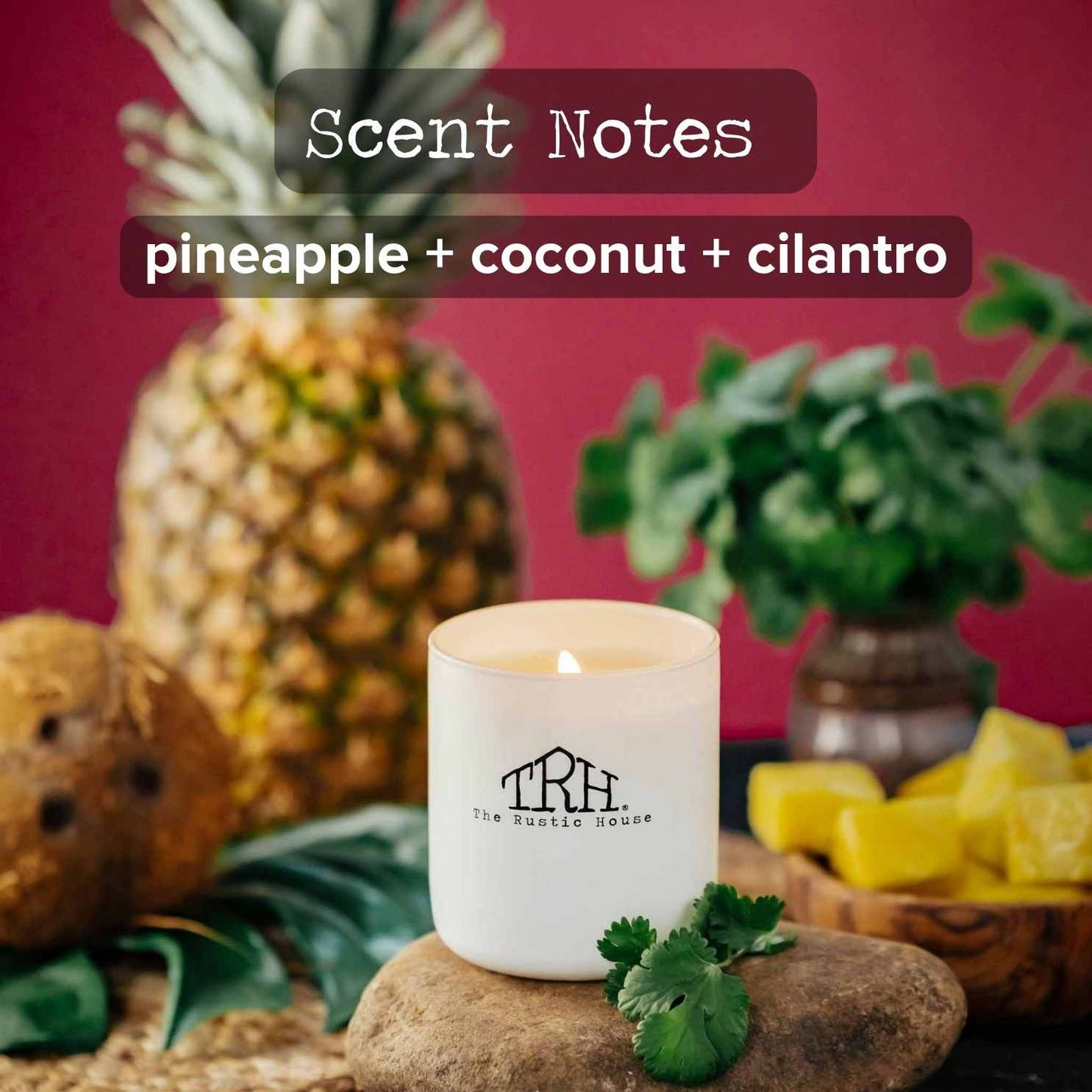 Pineapple & Cilantro