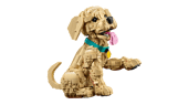 LEGO Golden Retriever Puppy
