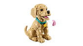 LEGO Golden Retriever Puppy