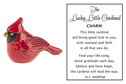 Pocket Charms